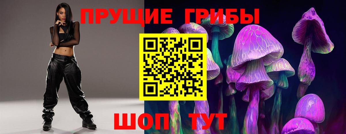 Галлюциногенные грибы ЛСД Губкинский