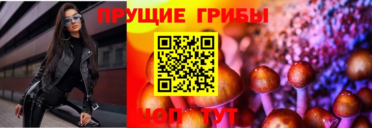 Псилоцибиновые грибы мицелий  Вход с VPN  Губкинский  Псилоцибиновые грибы ЛСД 
